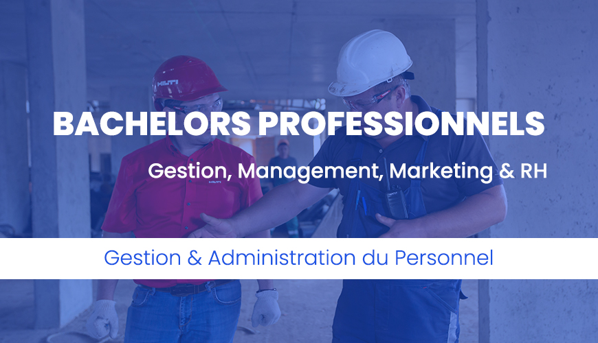 bachelor-gestion-administration-personnel