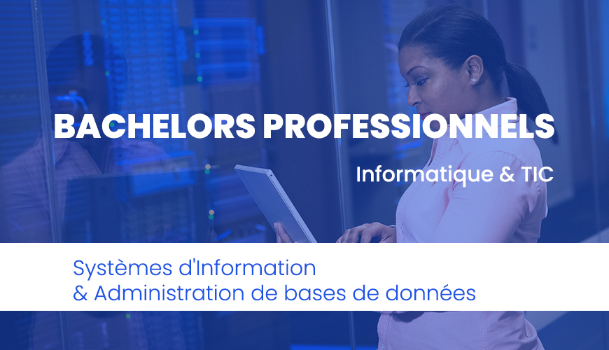 bachelor-systemes-information-bases-donnees